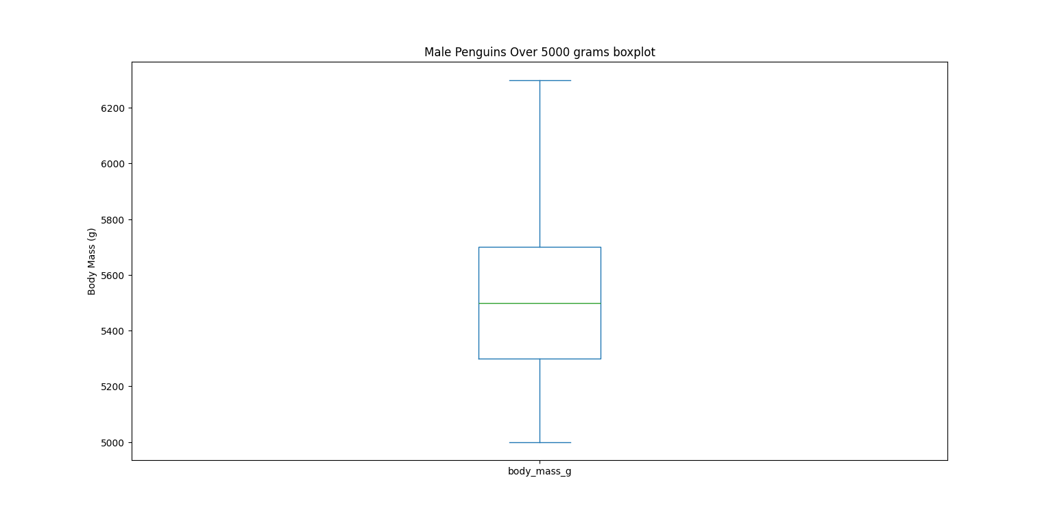 Box plot for male penguins over 5000 grams